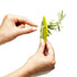 AussieSuperStore Homeware Supplies Herb Leaf Remover Stripper Kitchen Gadget Greens Stripping Tool CBHERBSTRIPPER